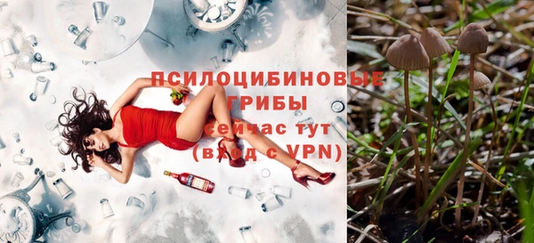 Альфа ПВП Покров