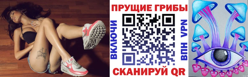 Псилоцибиновые грибы прущие грибы  сколько стоит  Терек 